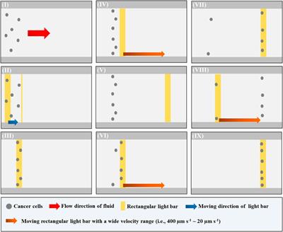 Improvement of Background Solution for Optically Induced Dielectrophoresis-Based Cell Manipulation in a Microfluidic System